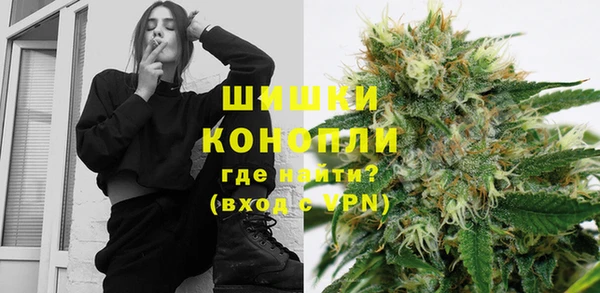 PSILOCYBIN Аркадак